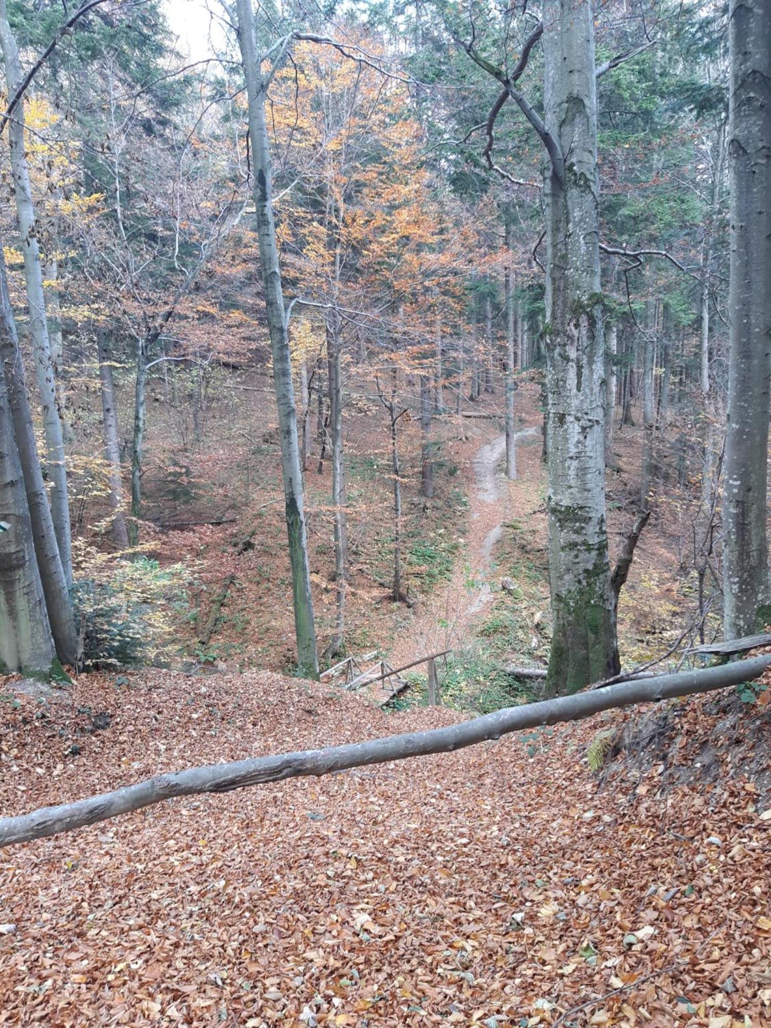 Chata Pod Wyciagiem Wańkowa Exterior foto