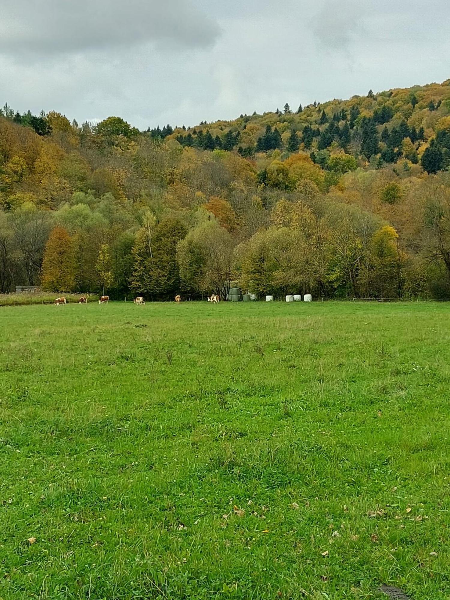 Chata Pod Wyciagiem Wańkowa Exterior foto