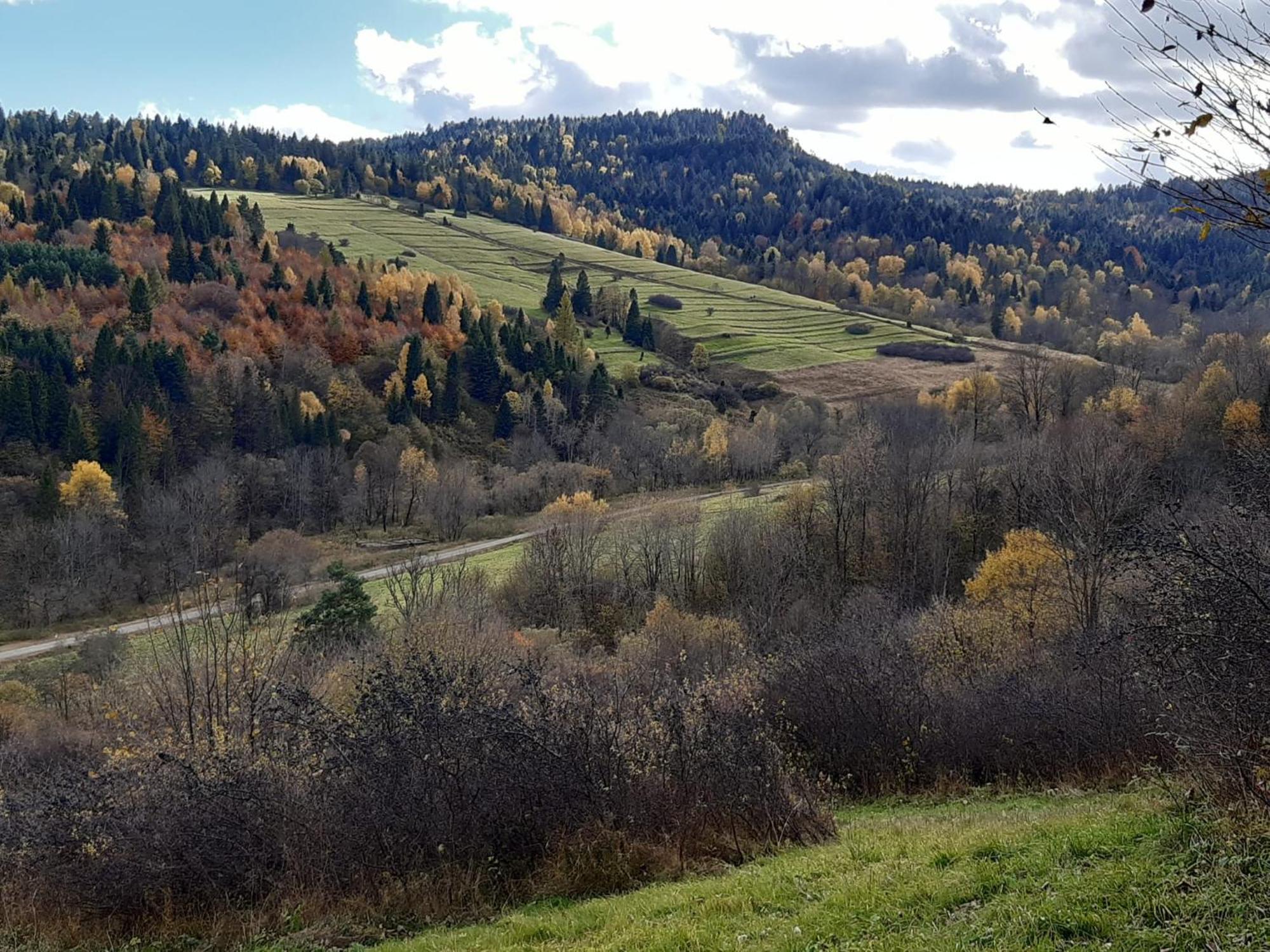 Chata Pod Wyciagiem Wańkowa Exterior foto